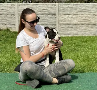 Amerikai staffordshire terrier - Bellflower Of Fianna Team