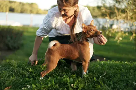 Basenji - Lucky Alien Kahawa