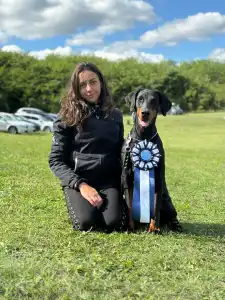 Dobermann - Von Schatten Des Teufels