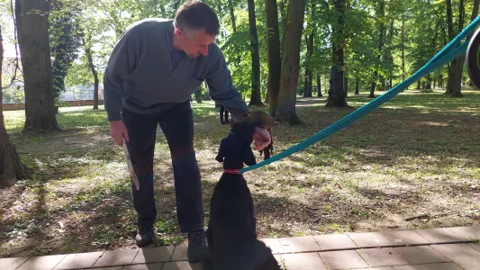 Giant Schnauzer - Prima Fortis 