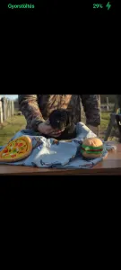 Cane corso - Dolce Assassino Polina