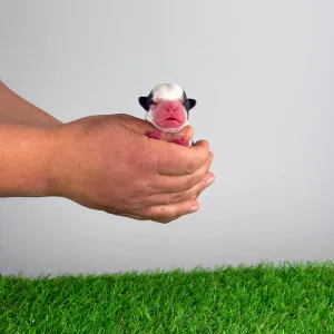 Boston Terrier - Hoja