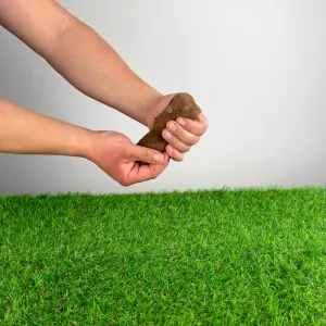 Toy uszkár - Pierro