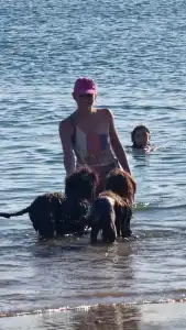 Portuguese Water Dog - Stella Maris 