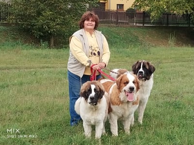 Moscow watchdog - Egresvölgyi Kennel