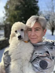 Poodle Standard - Amber