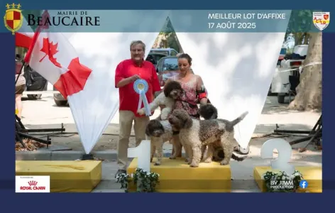 Romagna Water Dog - Lagotto Passion 