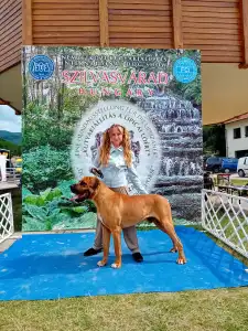 Kai - Tamatsu Amerci Daride Kennel