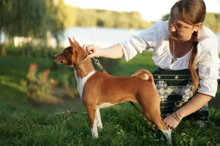 Basenji - Lucky Alien Kahawa