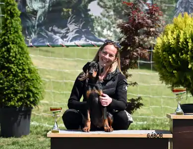 Dobermann - Nagendra Buenos Aires 