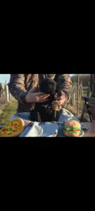 Cane corso - Dolce Assassino Polina