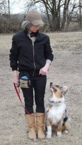 Australian Shepherd - Budnat Aussies