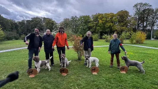 Romagna Water Dog - Lagotto Passion 
