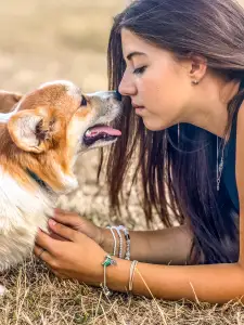 Welsh Corgi Pembroke - Amaya Queen Jewel Of Your Brilliand Diamond