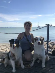Australian Shepherd - Budnat Aussies
