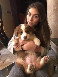Australian Shepherd - Budnat Aussies
