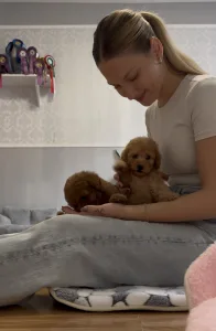 Barbone toy - Fairytail World Abel