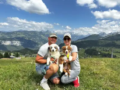 Australian Shepherd - Budnat Aussies