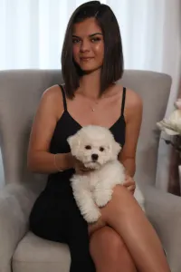 Bichon Frise - Melanie