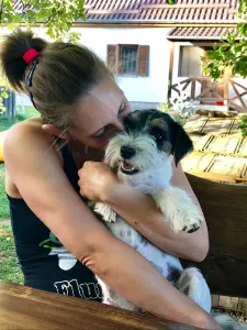 Jack Russell Terrier - Joyful Jack Kennel