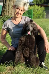 Barbone grande mole - Helios