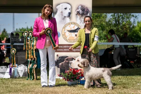 Romagna Water Dog - Lagotto Passion 