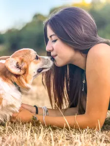 Welsh Corgi Pembroke - Amaya Queen Jewel Of Your Brilliand Diamond