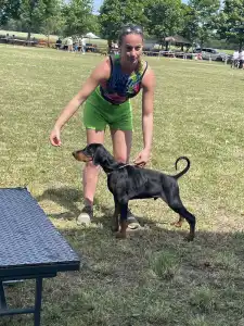 Dobermann - Nagendra Buenos Aires 