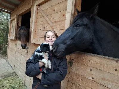 Tibetan Terrier - Saumur Zig-zag