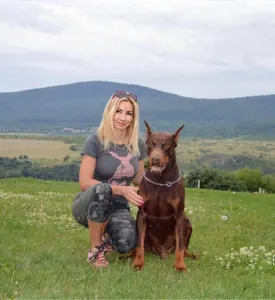 Dobermann - Falcon