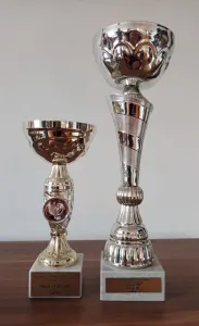 Wasserhund der Romagna - Artemis Floresti