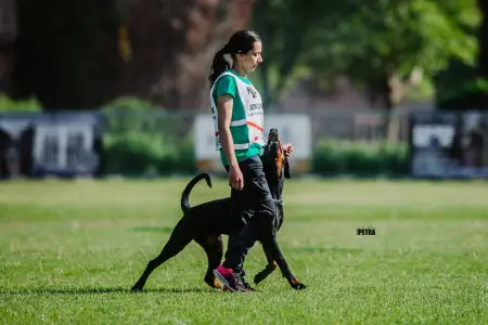 Dobermann - Von Schatten Des Teufels