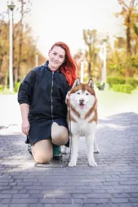 Szibériai husky - Mendenhall