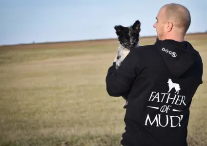 Kuvasz - Vesszőshalmi