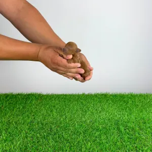 Poodle Toy - Zoci