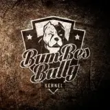 Bumbes Bully Kennel
