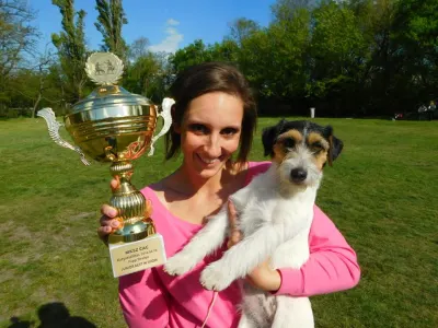 Terrier Jack Russell - Joyful Jack Kennel