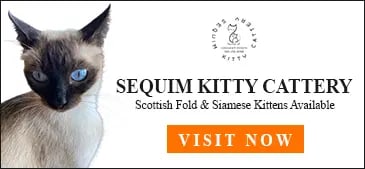 Sequim Kitty Cattery