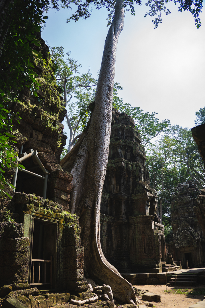 Cambodia_7