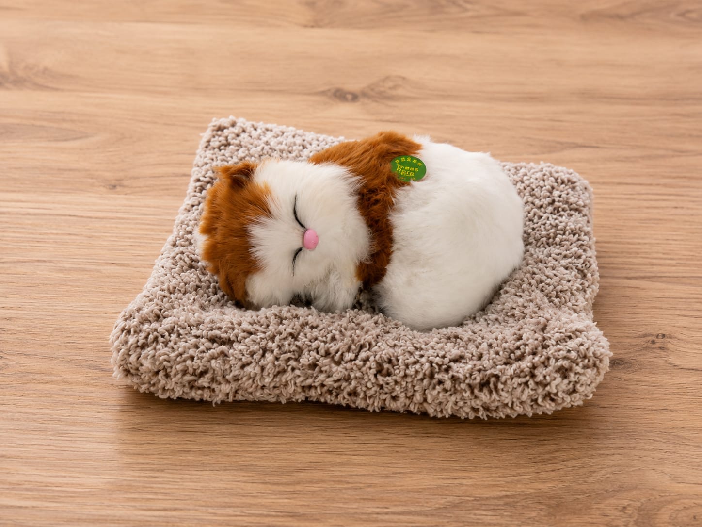 Sleeping Cat thumbnail 2