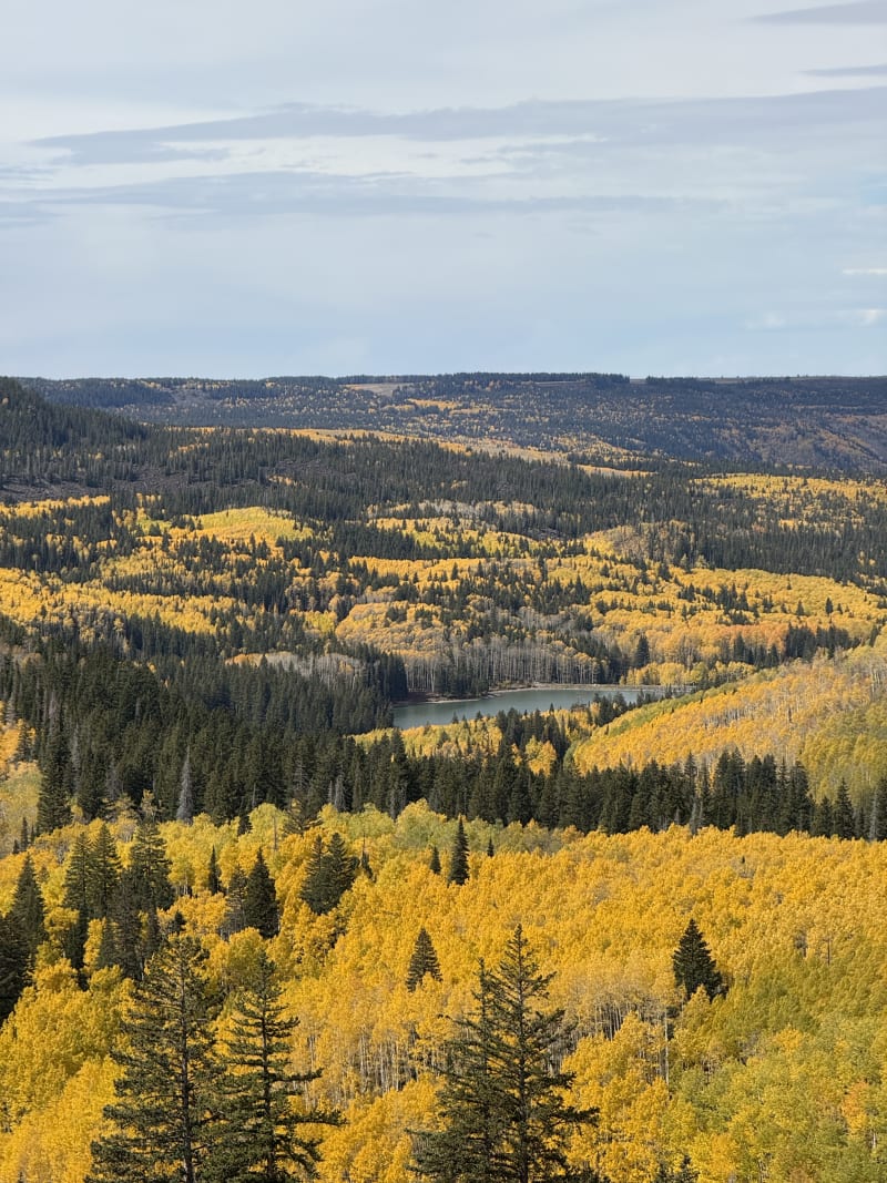 Grand Mesa Lifestyle - Autumn colors and lake view