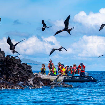 Ekspedisjonscruise til Galapagos�yene