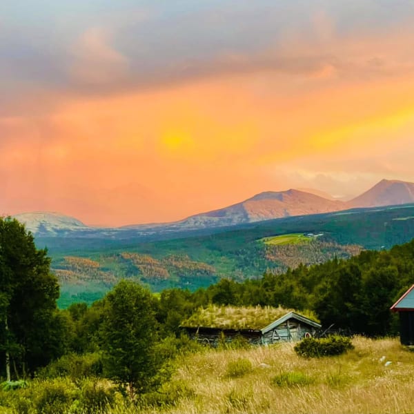 Vandring i Femundsmarka