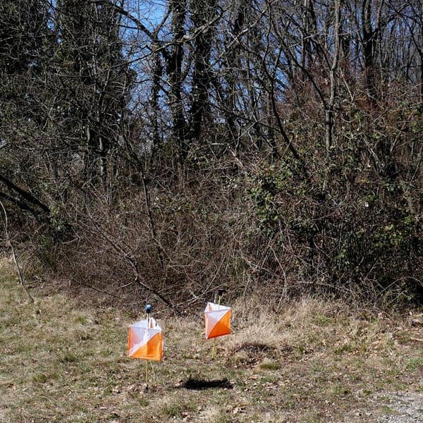 Lipica Open, Slovenia