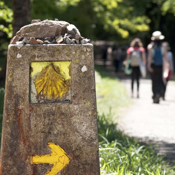 Pilegrimsveien til Santiago de Compostela