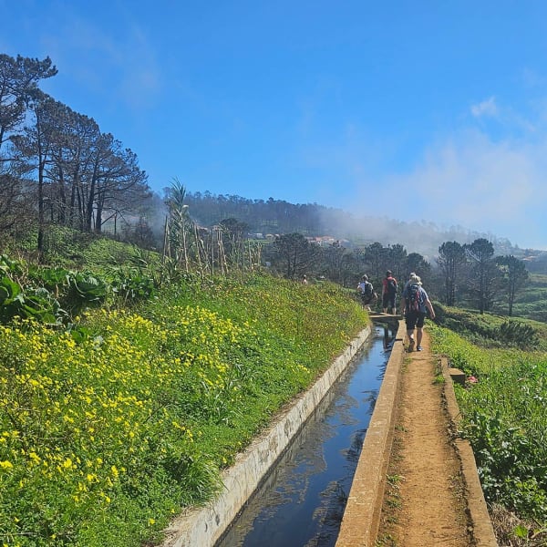 Singeltur - Levadavandring Madeira