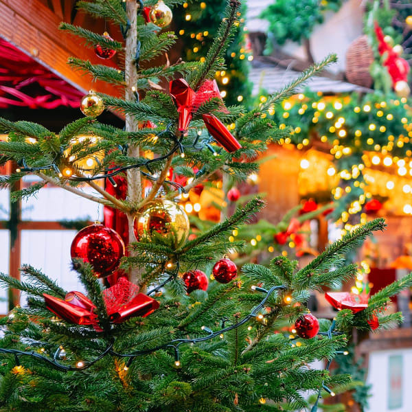 Julemarkedscruise p� Donau med VIVA Cruises