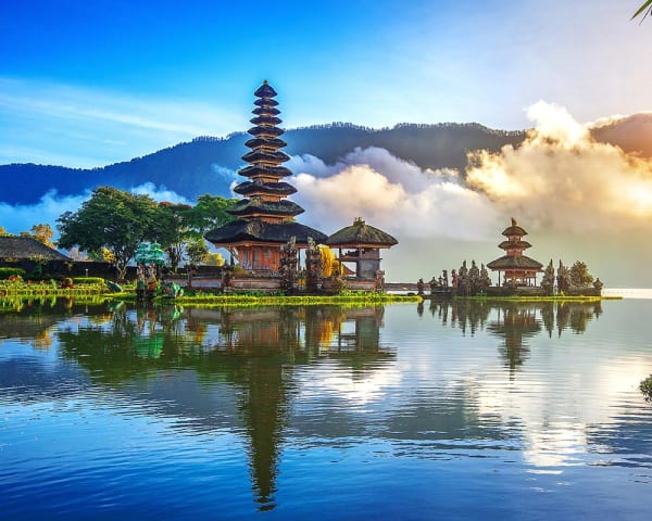 Fra Ubud til Sanur (F, L)