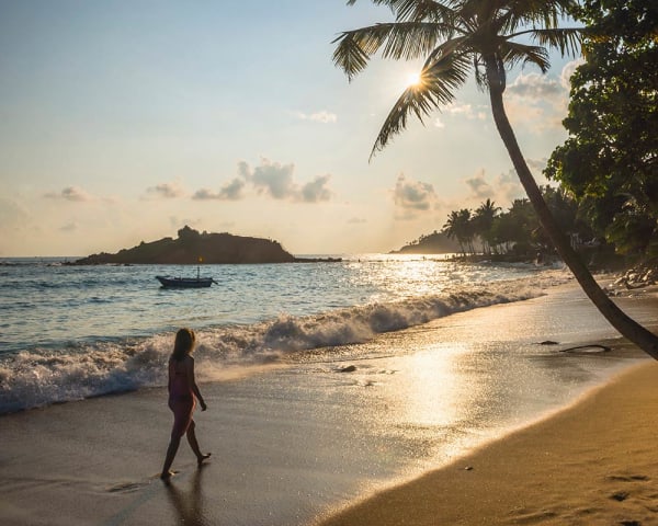 Tanntempelet i Kandy - Negombo (F, M)