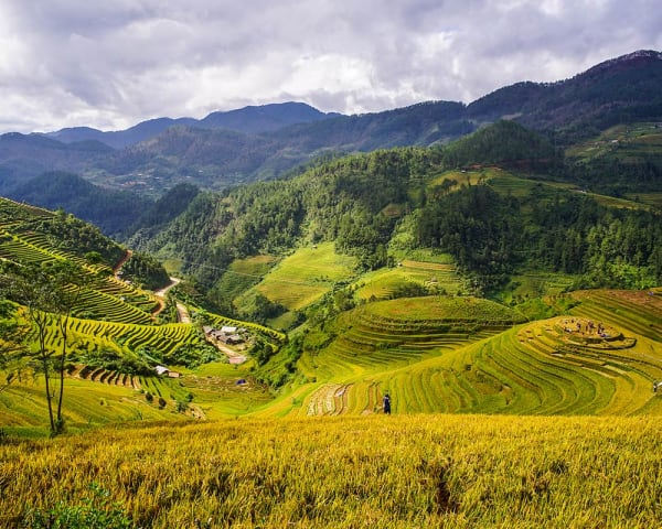 Hanoi og Mai Chau (F, L, M)